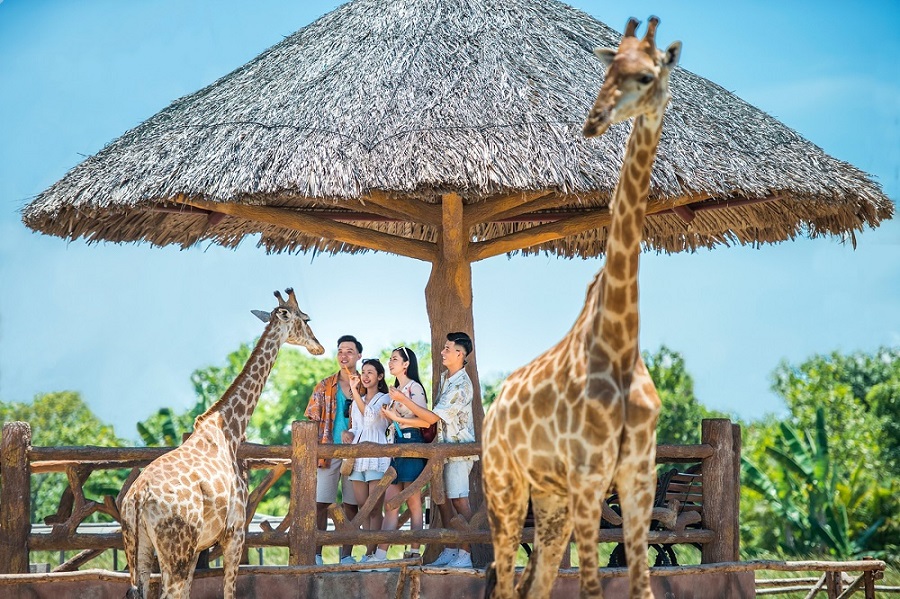 Tương tác với nhiều loài động vật thân thiện tại River Safari Nam Hội An